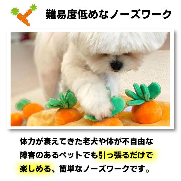 ノーズワーク 嗅覚トレーニング にんじん いちご  ペット おもちゃ 知育玩具 知育トイ 犬 イヌ 猫 ペット用 認知症 防止トレーニング 訓練 健康  おやつ入れ |  | 04
