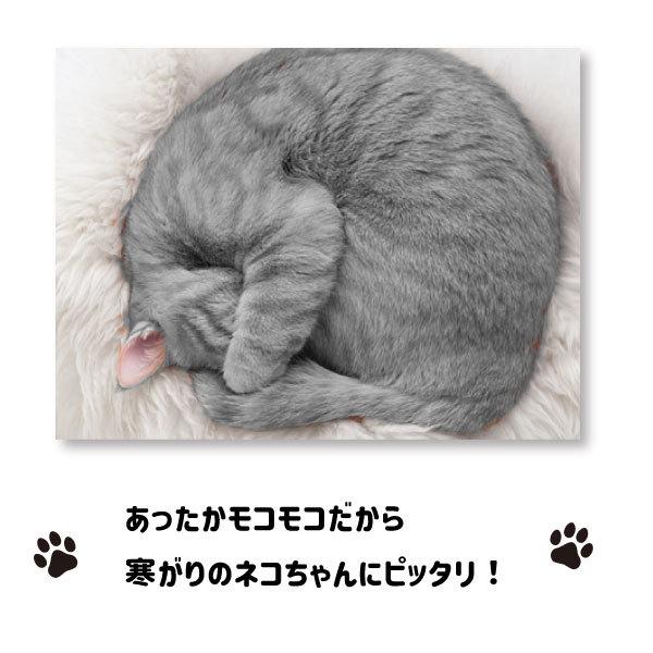 猫 ハンモック（ホワイト） M Lサイズ あったか ボア 冬用 ネコ ねこ ベッド ナスカン キャット 固定 椅子 吊り下げ 寒さ対策 防寒 ふわふわ ペット |  | 01