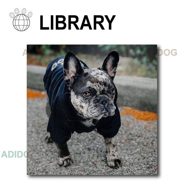 NEWアディドッグ 裏起毛 トレーナー 5色 S M L XL XXL ドッグウェア 犬用 パーカー 服 パロディ 服 長袖 スェット フーディー ブルドッグ |  | 02