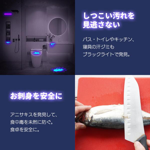 【レビューを書いてネコポス便送料無料】 UVブラックライト 9灯/21灯 紫外線ライト 電池付き 395nm レジン 硬化 ライト 懐中電灯 ネイル硬化 汚れ 傷 アニサキス |  | 02