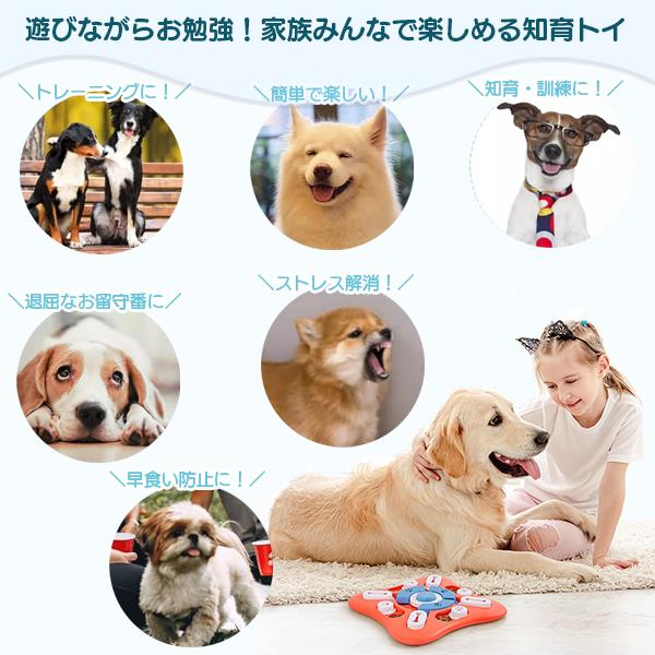 ノーズワーク パズルトイ 知育玩具 知育トイ おもちゃ オモチャ 犬 イヌ 猫 兼用 ペット 早食い防止 プラスチック 食洗機 お留守番 吐き出し防止 パズル おやつ |  | 02