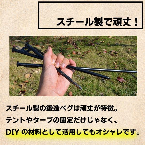 ペグ 選べる 3点セット ハンマー 袋 20cm 30cm 8〜16本 ペグ袋 ペグハンマー セット ショートペグ キャンプ アウトドア  カラー |  | 12