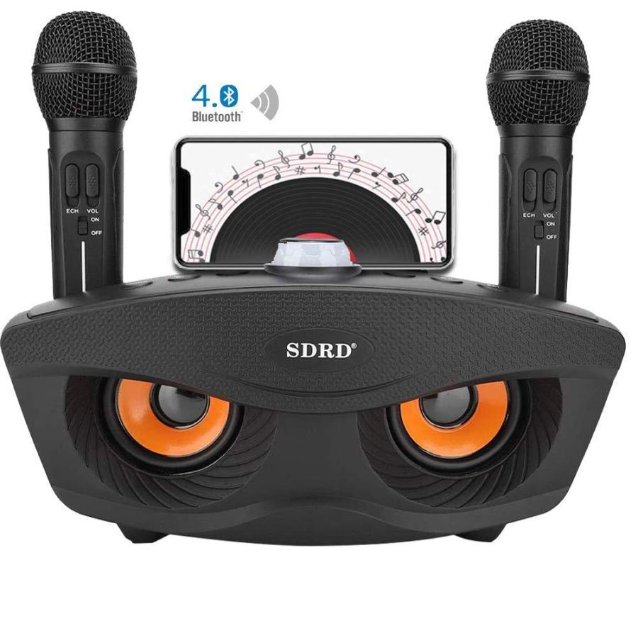 新素材新作 多機能 高音質 2本 マイク カラオケ ワイヤレス Bluetooth レコーディング Pa機器 Hlt No