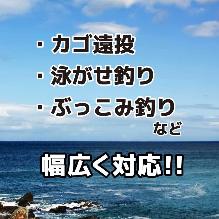 とにかく遠投！遠投サビキ 450PTS 防波堤 遠投サビキ FIVE STAR ファイブスター_1