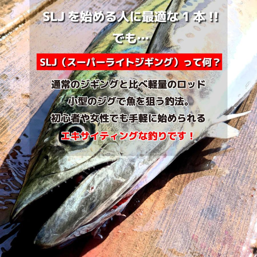 SEA MASTER type-SLJ B60M/スーパーライトジギング/SLJ/船釣り/FIVE STAR/ファイブスター｜fivestarfishing｜02