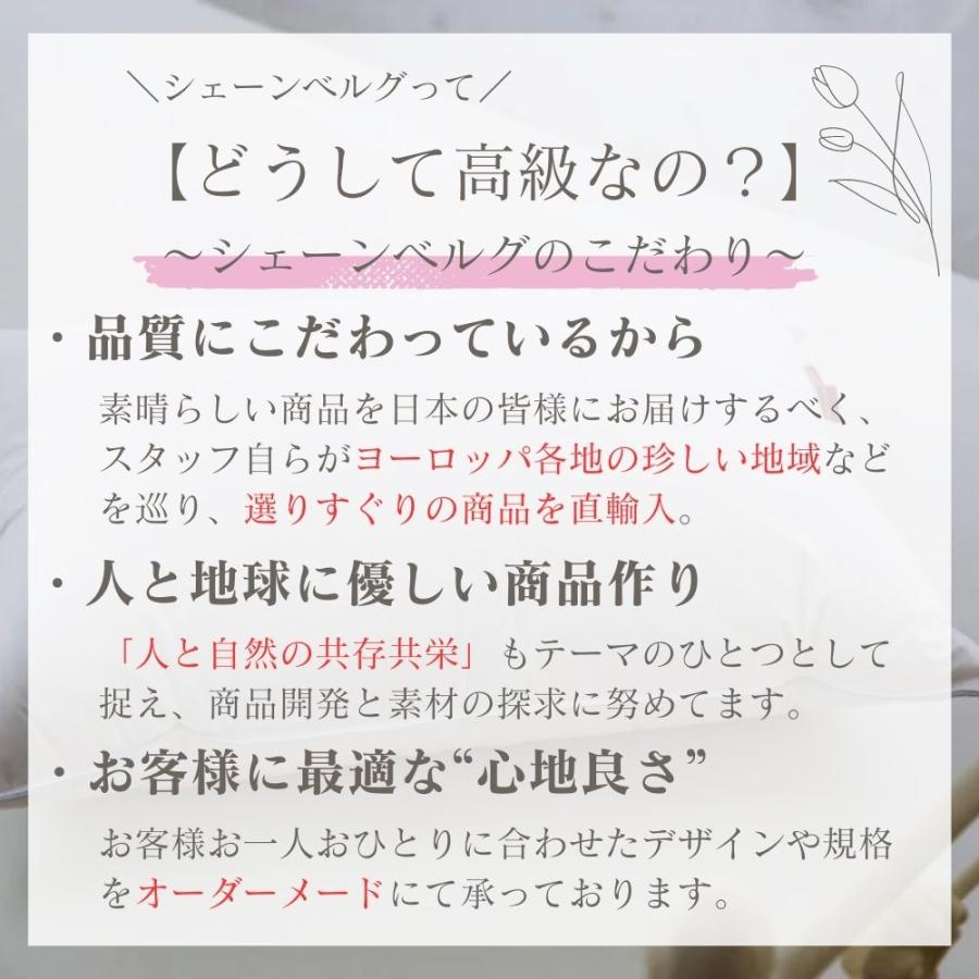 枕 まくら ホテル枕 ホテル仕様 羽毛 羽根 肩こり ストレートネック 横向き 高級枕 安眠 安眠グッズ 天然素材 オーガニック シェーンベルグ おすすめ 送料無料｜fivestarspec｜12