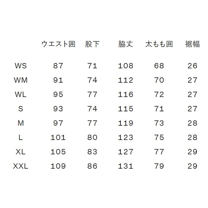 THE NORTH FACE ノースフェイス ウェア LAYBACK RIDE Bib NS62513 25-26 モデル パンツの画像