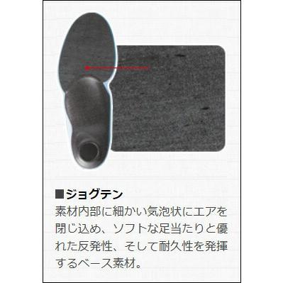 SIDAS【ACTION PLUS（+）｜3132321】シダス インソール アクション