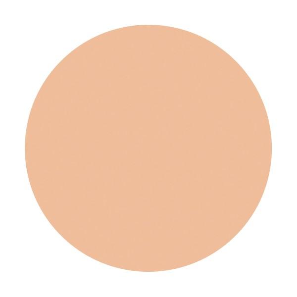 REVITAL 資生堂 リバイタル リフティングパクト（レフィル）オークル10