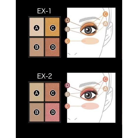 KATE カネボウ ケイト バランシングカラーパレット EX-1 7.9g