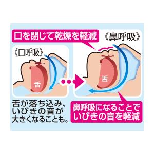 小林製薬 ナイトミン鼻呼吸テープ アロマラベンダーの香り 21枚 メール