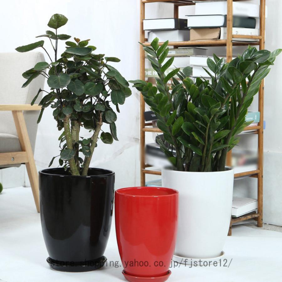 観葉植物用 陶器鉢ロングスクエア陶器鉢 ホワイト 7号サイズ 観葉植物用 陶器鉢ロングスクエア陶器鉢 ホワイト 7号サイズ