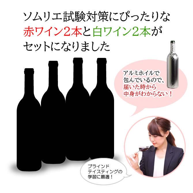 No.1＞ ソムリエ試験対策に！人気ワイン講師・大塚美咲厳選の
