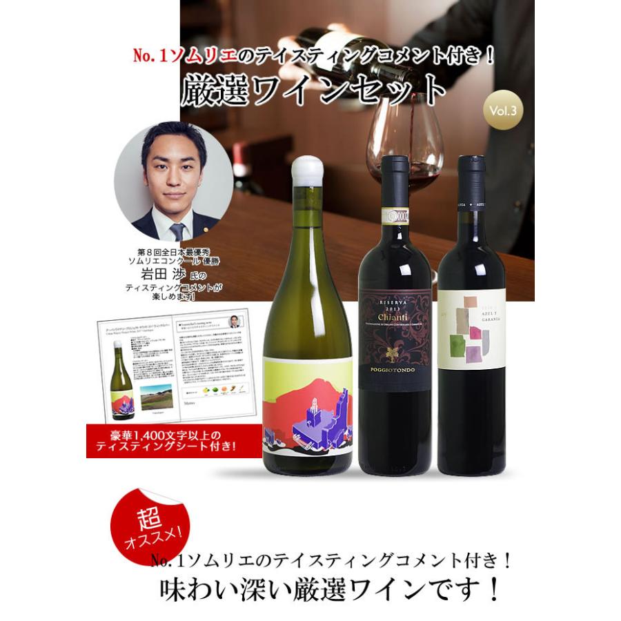 第3弾＞ No.1ソムリエのテイスティングコメント付き！厳選ワイン3本