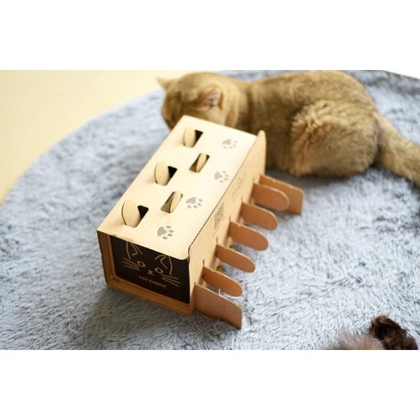 送料無料 モグラ叩き 猫 犬 おもちゃ 猫 遊びグッズ もぐらたたき 紙製 ハムスター迷路 ペット用品 1998ymxqdn96 Fkトレーディング 通販 Yahoo ショッピング