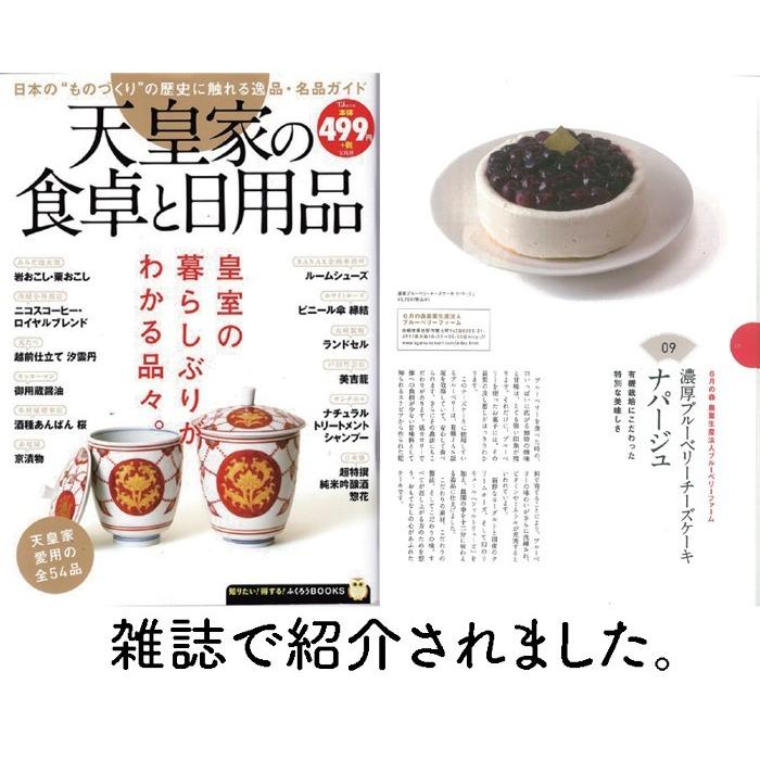 6月の森 ブルーベリーレアチーズケーキ ナパージュ 本州送料込 栃木県産品 佐野市 Fn010 6gatu Napaju 0224 Z 福田屋百貨店 通販 Yahoo ショッピング