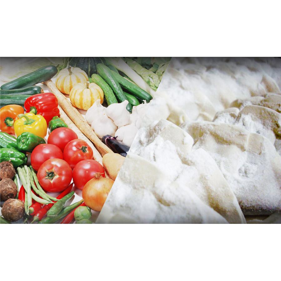 宇都宮餃子 悟空 ジャンボ餃子36個入り FN0MG |  | 04