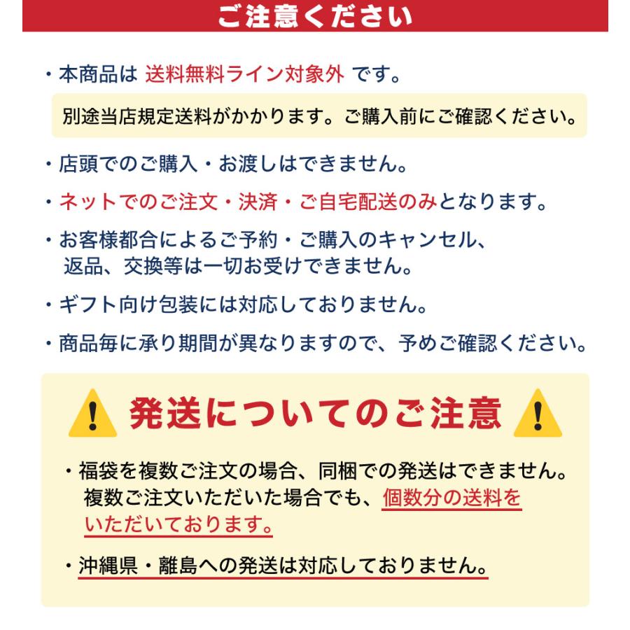 2025福袋先行予約販売 ALGY アルジー 女の子用 福袋 6点セット (IP) 配送 2025年1月2日(木)〜10日(金) ご希望日にお