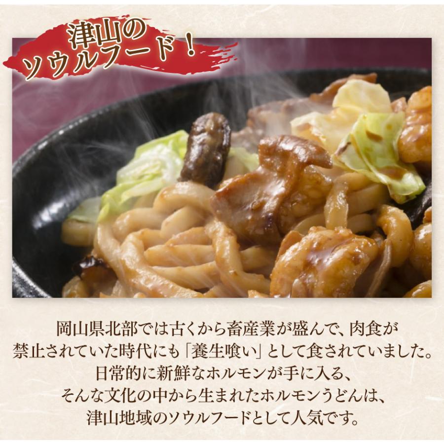 津山 B級グルメ 津山ホルモンうどんセット 4人前 美咲ホルモン赤と白 |  | 03