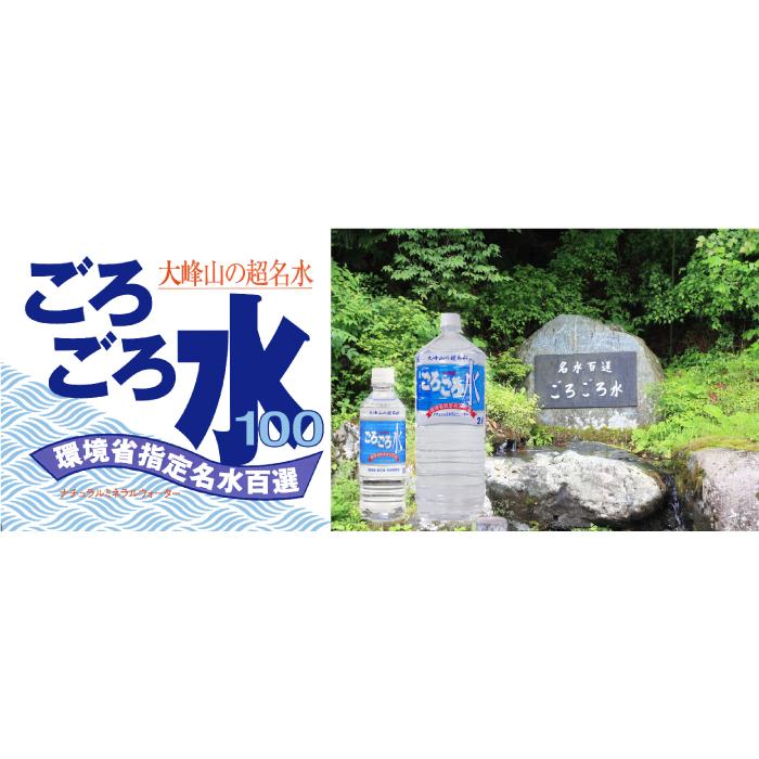 大峰山の超名水 ごろごろ水 2ｌ 12本入 奈良県 吉野郡天川村 Mss 2l12 0224 Z 福田屋百貨店 通販 Yahoo ショッピング