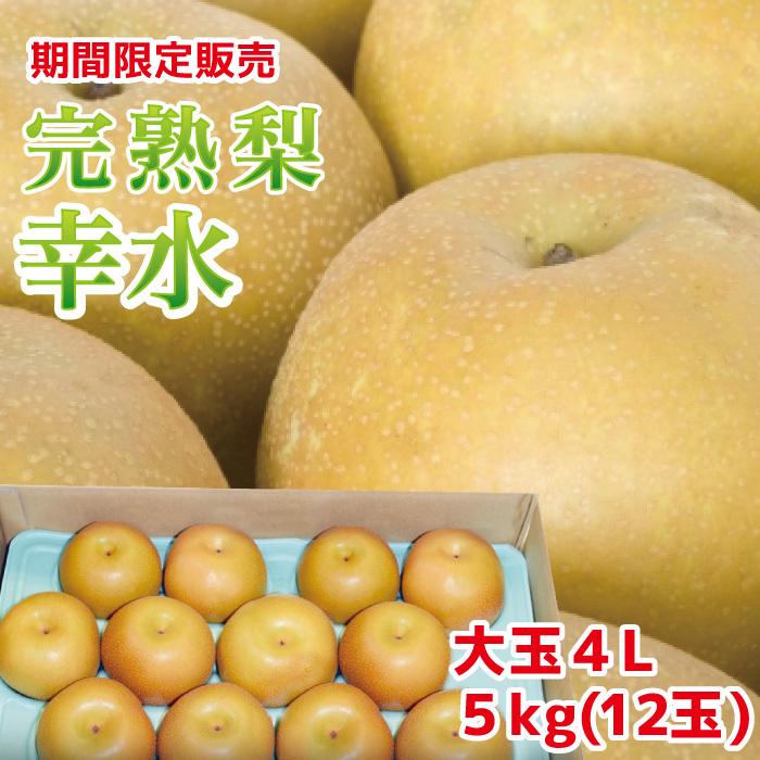 栃木のおいしい完熟梨 出色 幸水 秀逸 大玉4Lサイズ 5kg 12玉