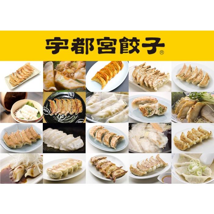 豚きっき（とんきっき）　餃子3種食べ比べセット　[栃木県産品　宇都宮市]　 FN01Z｜fkd-netplaza｜12