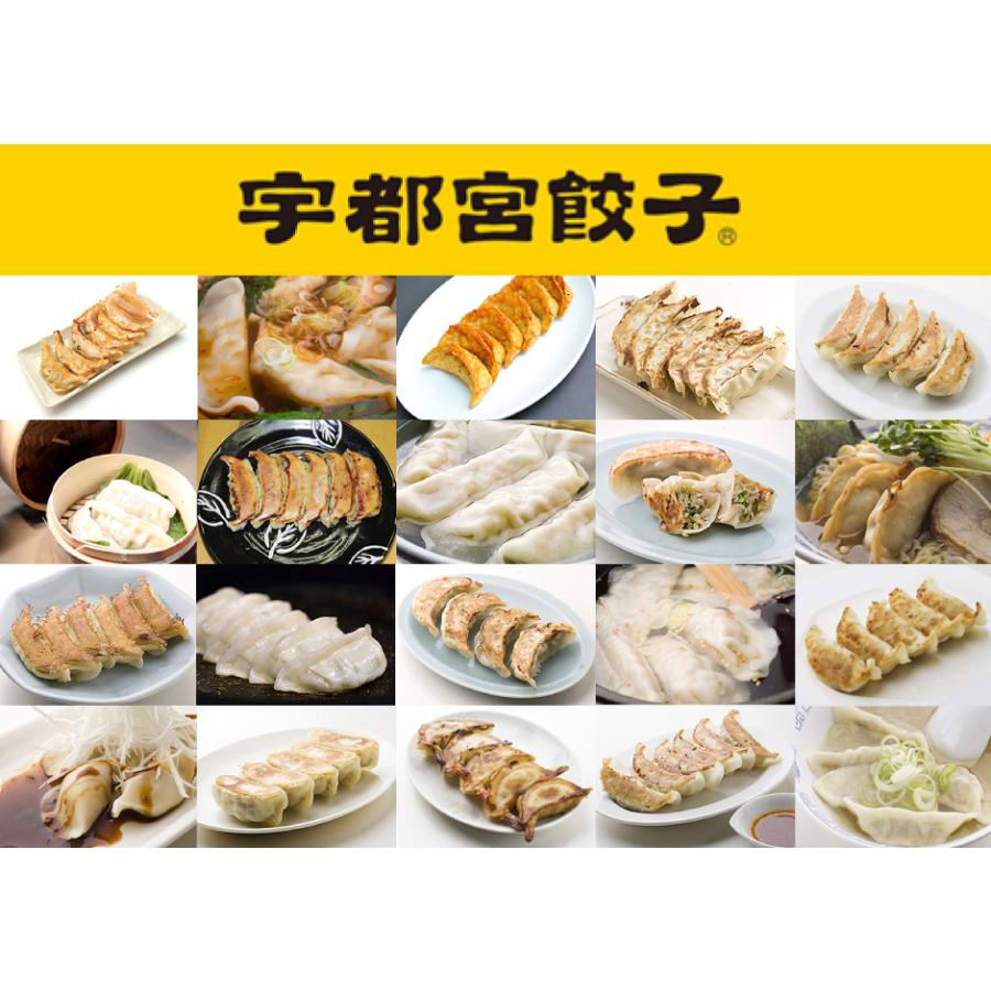 宇都宮AQ餃子 35g30個入り 冷凍餃子 宇都宮 餃子 ぎょうざ ギョーザgyouza 栄久食品 【ギフ_包装】 宇都宮AQ餃子 35g30個入り 冷凍餃子 宇都宮 餃子 ぎょうざ ギョーザgyouza 栄久食品 【ギフ_包装】