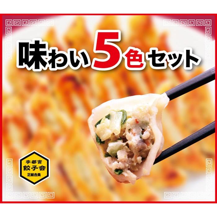 宇都宮餃子館 味わい5色セット 5種40個入り｜fkd-netplaza｜02