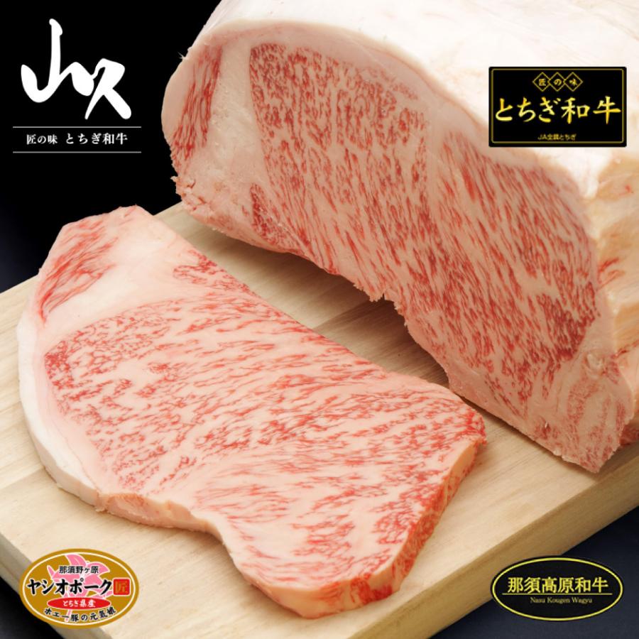 山久 ヤシオポーク匠 ポークステーキ・とんかつ用 120g×4 FN002 |  | 01
