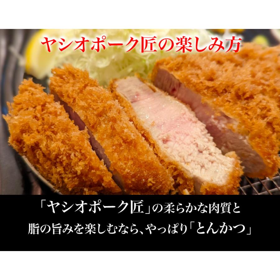 山久 ヤシオポーク匠 ポークステーキ・とんかつ用 120g×4 FN002 |  | 03