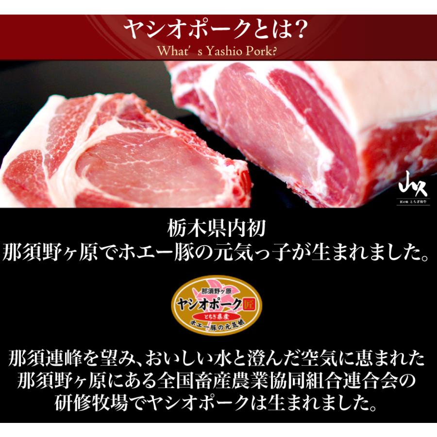 山久 ヤシオポーク匠 ポークステーキ・とんかつ用 120g×4 FN002 |  | 06