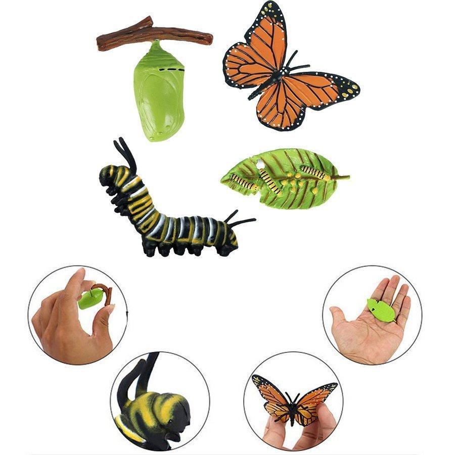 現実的な自然蝶の成長子供の教育学習おもちゃ+子供のおもちゃシミュレーション動物フィギュアセット成長プロセスプレイセットカエル｜fkd-shop｜03