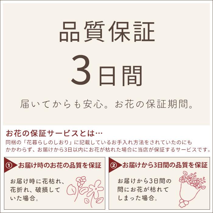 花 誕生日 プレゼント バラの花束 30本 の花束 女性 母 花束 お花 ギフト バラ 花束 開店祝い 結婚記念日 春 ホワイトデーフラワーギフト FKAA｜fkjiyugaoka｜17