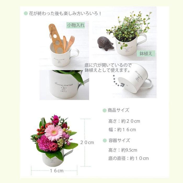 花と紅茶のセット ガーベラカップアレンジとローズティーセット 誕生日 記念日 お祝い花 即日発送 あすつく Fksw 048 Flowerkitchen Jiyugaoka 通販 Yahoo ショッピング