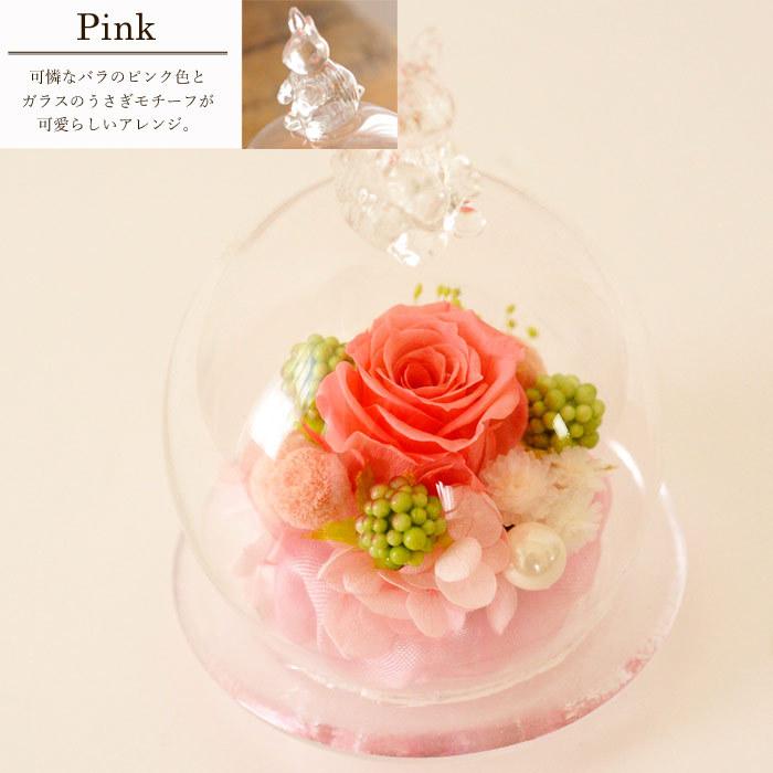 適当な価格 プリザーブドフラワー ガラスドーム 結婚記念日 プレゼント バラ 花 人気 薔薇 ピンク 高級 枯れない花 ロース ケース入り ラッピン Fucoa Cl