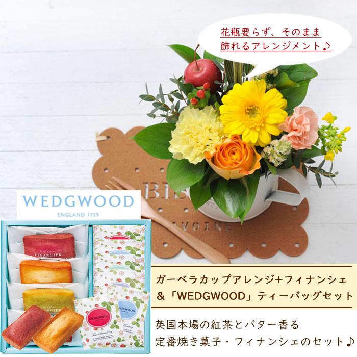 花とスイーツのセット ガーベラカップアレンジ と Wedgwood ウェッジウッド 紅茶 フィナンシェ セット 即日発送 あすつく Fksw 341 Flowerkitchen Jiyugaoka 通販 Yahoo ショッピング