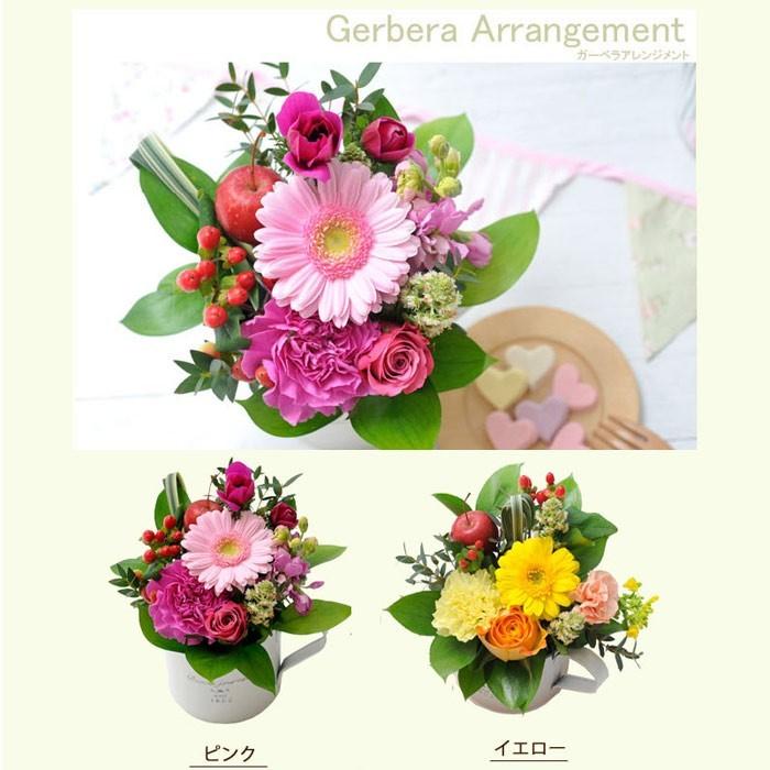 花とスイーツのセット ガーベラカップアレンジ と Wedgwood ウェッジウッド 紅茶 フィナンシェ セット 即日発送 あすつく Fksw 341 Flowerkitchen Jiyugaoka 通販 Yahoo ショッピング