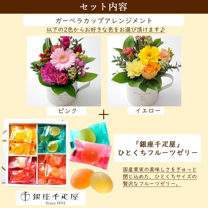 宅配便送料無料 花とスイーツのセット ガーベラカップアレンジと 銀座千疋屋 ひとくちフルーツゼリーセット 誕生日 記念日 お祝い花 即日発送 あすつく Rmladv Com Br