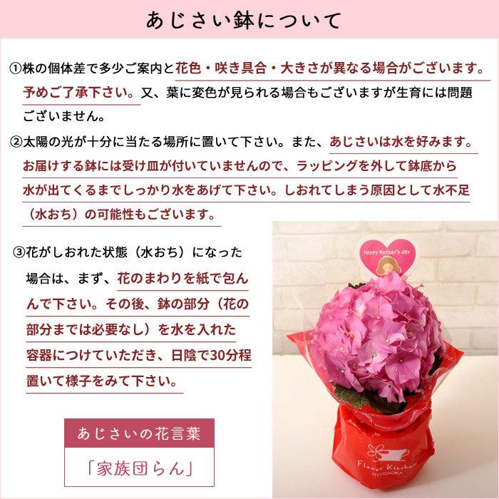 母の日 プレゼント 早割 花 ギフト 選べる5種 花鉢 カーネーション あじさい ケイトウ 鉢植え 23 Fkhh Hahanohi001 Flowerkitchen Jiyugaoka 通販 Yahoo ショッピング