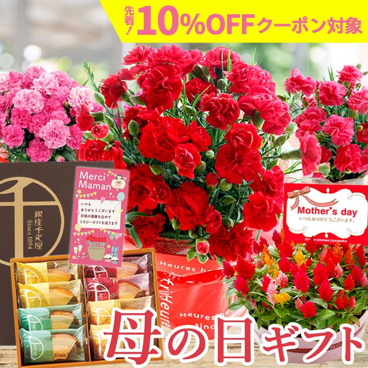FlowerKitchen 母の日 プレゼント 2025 ギフト 花 早割 FlowerKitchen 母の日 プレゼント 2025 ギフト 花 早割