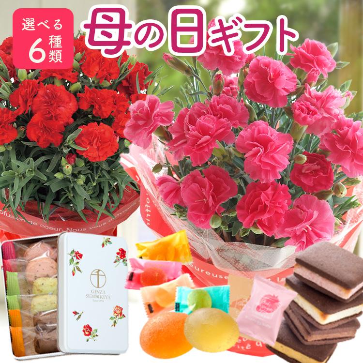 ＼まだ間に合う／母の日 ギフト 花 2026 スイーツ お菓子 花とスイーツ プレゼント 選べる カーネーション と千疋屋スイーツ クッキー缶 銀座千疋屋 FKHH（Yahoo!・FlowerKitchen JIYUGAOKA）
