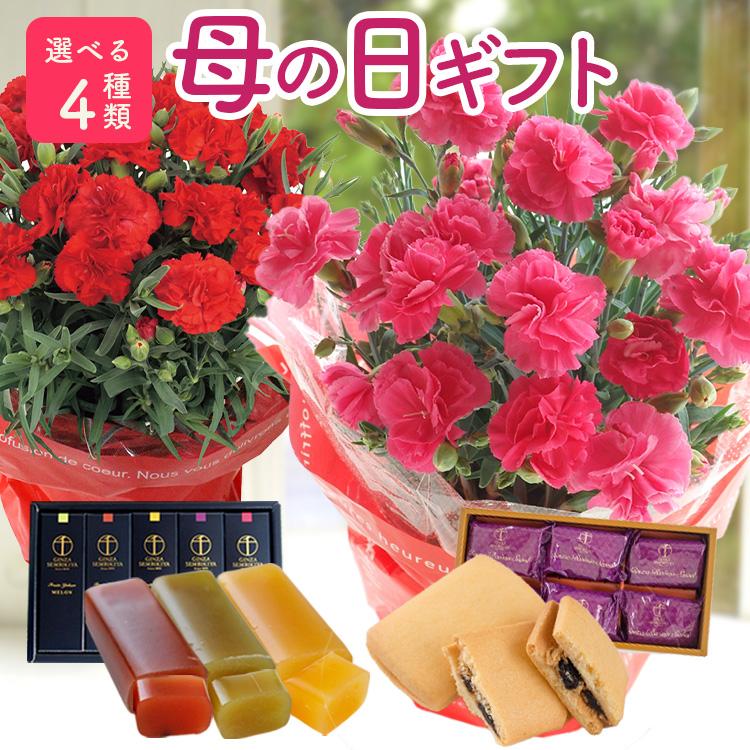 遅れてごめんね 母の日 ギフト 花 2026 スイーツ お菓子 花とスイーツ プレゼント 選べる カーネーション と 千疋屋スイーツ 羊羹 銀座千疋屋 FKHH | FlowerKitchen
