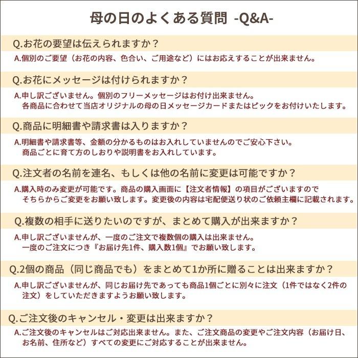 母の日 プレゼント 花とスイーツ ギフト Mothersアレンジ or ブーケ 花束 ＆ はちみつカステラセット 2024 FKHH｜fkjiyugaoka｜24