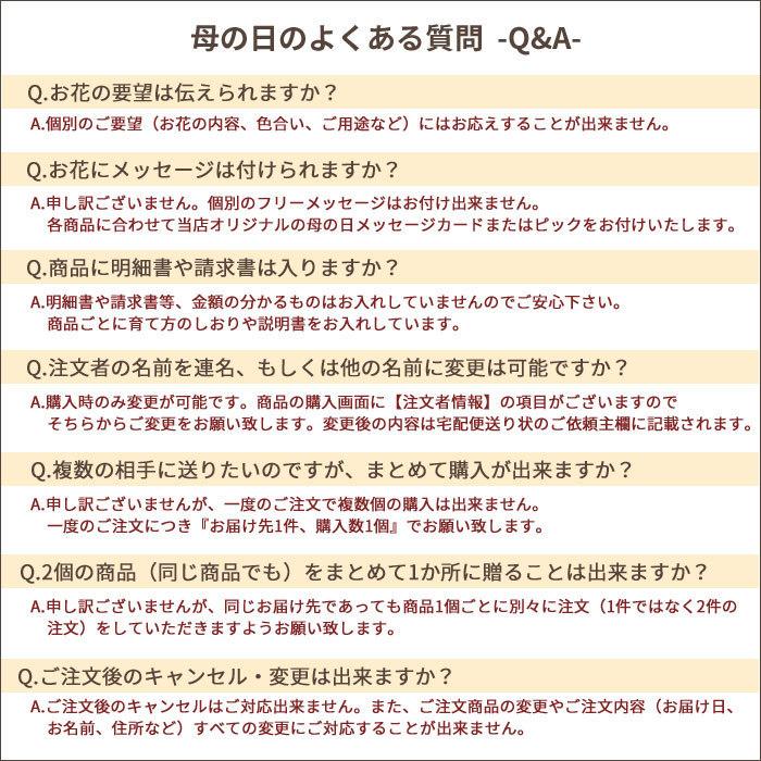 母の日 プレゼント 花 ギフト 選べるスタイル Mothers アレンジ ブーケ カーネーション 生花 2024 FKHH｜fkjiyugaoka｜21