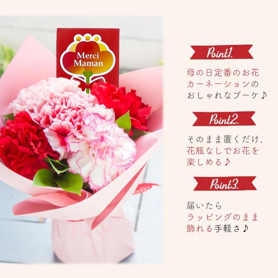 FlowerKitchen 母の日 ギフト 花 2026 カーネーション プレゼント