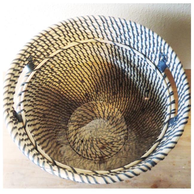 観葉植物　ドラセナジェレ7号＋IKEAカゴ  ローグコルン FKTK人気商品一覧 通販