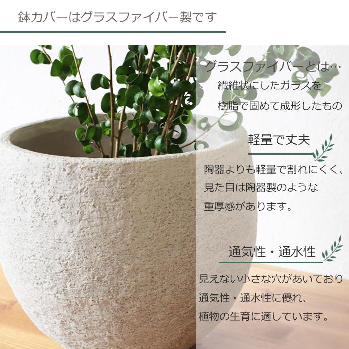 FlowerKitchen ベンジャミン バロック イノルガニックボウル FlowerKitchen ベンジャミン バロック イノルガニックボウル
