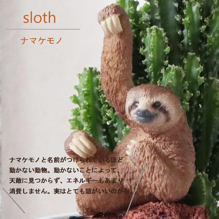 観葉植物 Saboten Zooシリーズ セレウス サボテン ナマケモノ フィギアつき ホワイト陶器鉢 Kk 0460 Flowerkitchen Jiyugaoka 通販 Yahoo ショッピング