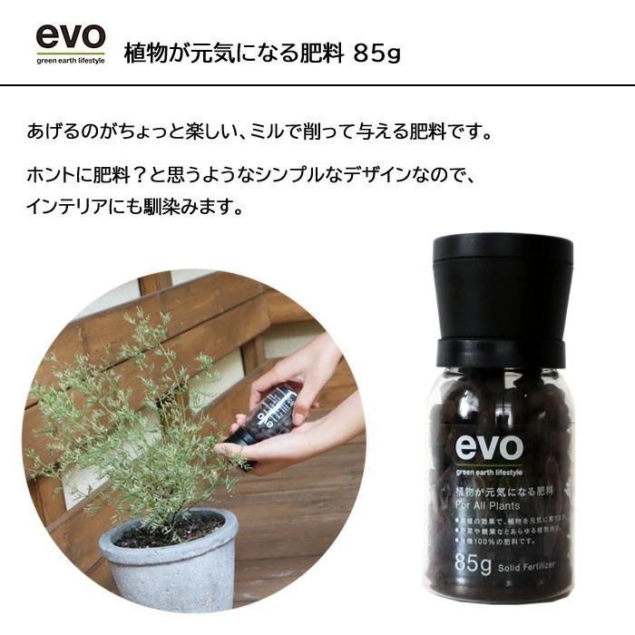 観葉植物 植物と肥料のセット ドラセナ コンシンネ 7号鉢 Evo 植物が元気になる肥料 85g Kk 0487 Flowerkitchen Jiyugaoka 通販 Yahoo ショッピング