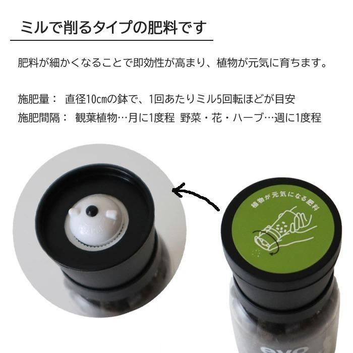 観葉植物 植物と肥料のセット ドラセナ コンシンネ 7号鉢 Evo 植物が元気になる肥料 85g Kk 0487 Flowerkitchen Jiyugaoka 通販 Yahoo ショッピング